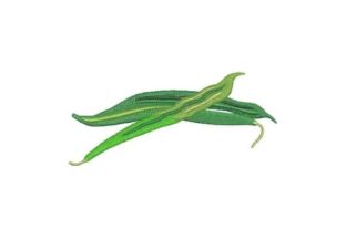 Bush Beans Embroidery Design for Business Branding